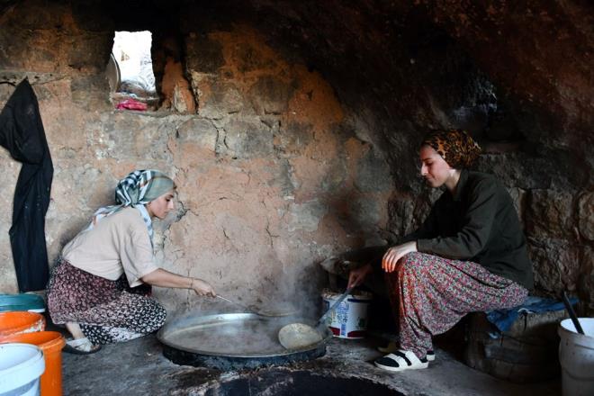 lede 40 bin dekar alanda retimi yaplan tescilli mezrone zmnde ba bozumunun balamasyla vatandalar hem kendi ihtiyalarn karlamak hem de satlarla aile ekonomilerine katkda bulunmak iin youn mesai harcyor.