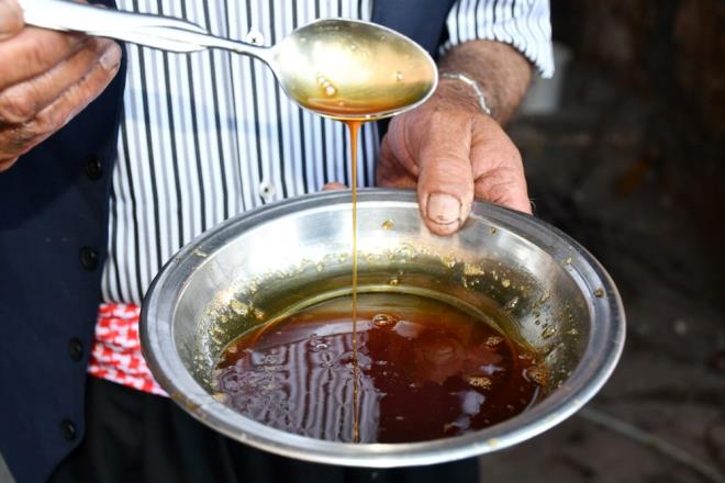 Blgede youn olarak tketilen, besin deeri yksek mezrone zmnden pekmez yapmak iin reticiler, sabahn erken saatlerinden itibaren almaya balyor.