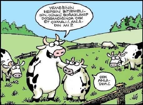 Sosyal medyada Kurban kareleri tk rekoru kryor...