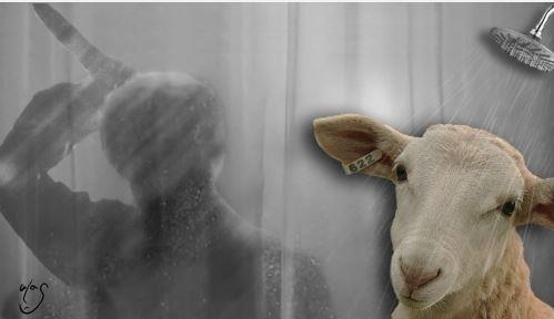 Sosyal medyada Kurban kareleri tk rekoru kryor...