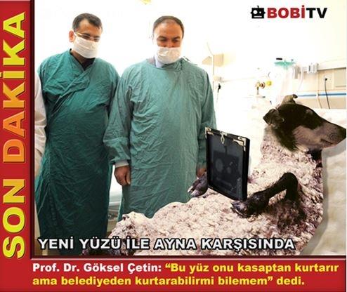 Sosyal medyada Kurban kareleri tk rekoru kryor...