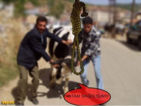 Sosyal medyada Kurban kareleri tk rekoru kryor...