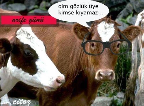 Sosyal medyada Kurban kareleri tk rekoru kryor...