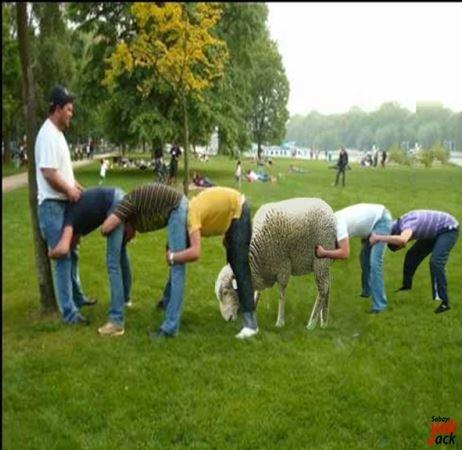 Sosyal medyada Kurban kareleri tk rekoru kryor...