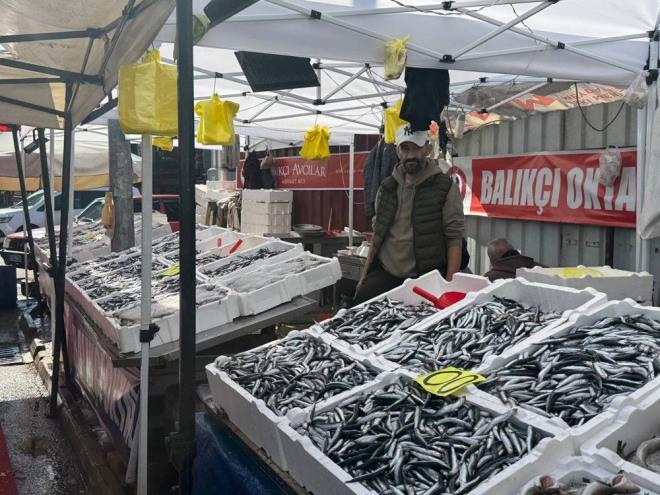 Bugn tezgahlarda 100 liradan alc bulan hamsi, fiyatnn ucuz olmas nedeniyle youn ilgi grd.