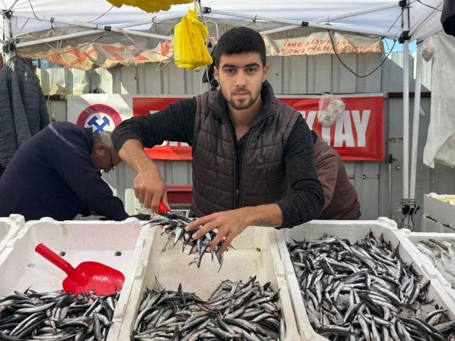 Zonguldak'ta Karadeniz'den avlanan hamsinin fiyatnda d sryor.