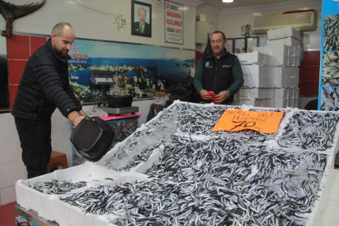 <h2 class="gallery-item-title">"TAM ZAMANI"</h2>                <p>Vatandalardan Nurten Ylmaz her hafta dzenli olarak hamsi tkettiklerini belirtirken, Bahtiyar Kaymak ise hamsinin u anda en uygun fiyatlarda olduunu, bundan daha aaya dmeyeceini ve her gn tketmeye devam ettiklerini syledi.</p>