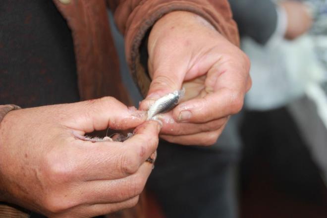 <h2 class="gallery-item-title">"VATANDA HAMSYE DOYACAK"</h2>                <p>Balk esnaf Faruk Arslantrk, vatandan daha fazla hamsi tketebilmesi iin fiyatlar aa ektiklerini ifade ederek, "u anda Karadeniz'de hamside bolluk var.</p>