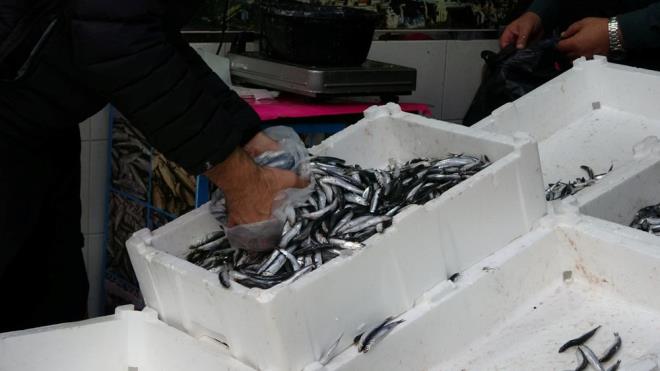 Hamsinin ucuzlamasyla tezgahlar nnde uzun kuyruklar olutu. Vatandalar, hamsinin tam mevsimi olduunu belirterek bol bol tketilmesi gerektiini syledi.