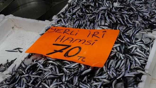 Sezon banda kilogram 300 liraya kadar kan hamsinin fiyat, artan avlanma miktaryla birlikte nce 100 liraya, ardndan da baz balklarda 70 liraya kadar geriledi.