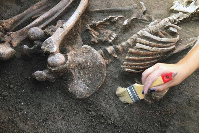 Profesr Sayed Hemeda, Daily Mail'e yapt aklamada, mezarn yakn gelecekte kmeyeceini ancak "binlerce yl boyunca olduu gibi ayakta kalmayabileceinden" endie ettiini ifade etti. Ne yazk ki, bu felaketi nlemeye ynelik ok az nlem alnd belirtiliyor.