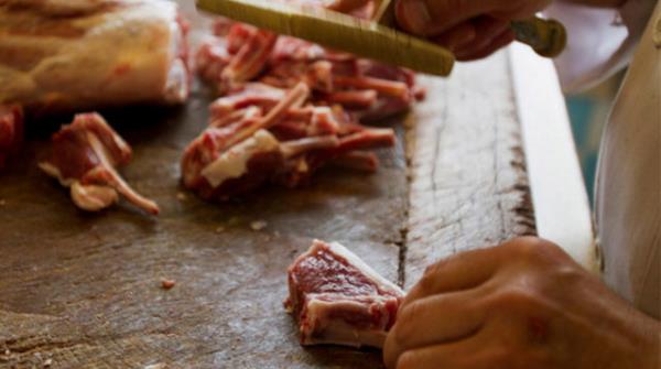 Toksinlerden arnmanz salar.