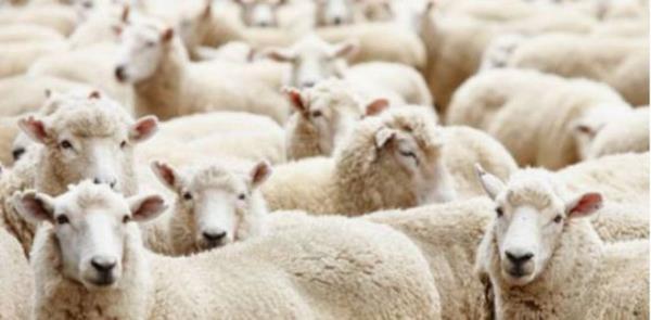 Onlara eziyet etmeyin!