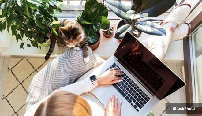 <p>zmir'de evini ofis olarak kullanan avukata belediye tarafndan kesilen evre temizlik vergisi ve usulszlk cezasnn iptaline karar verildi.</p><p>&nbsp;</p><p>Karyaka'da serbest avukatlk yapan Bra Elmal, yaad evi,  yl nce i yeri adresi olarak gsterdi.</p><p>&nbsp;</p><p>Adreste geen yl yoklama ilemi yapan Karyaka Belediyesi grevlileri, evin ayn zamanda avukatlk ofisi olarak kullanld ynnde tespit yapt.</p>