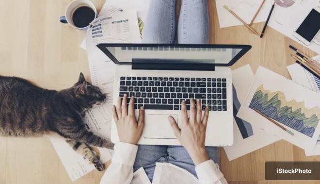 <h2 class="text-size-20 md:text-size-24 px-2.5 mt-2 text-black font-bold pt-2">USULSZLK CEZASI KESLD, KARI DAVA ATI</h2><div class="text-size-18 md:text-size-20 p-3 pb-1 font-medium text-black ck ck-content break-words leading-normal"><p>Belediye, Elmal'dan i yeri iin evre temizlik vergisi alnmasna karar verdi, ayrca 2018'den bu yana geen sre iin usulszlk cezas uygulad.</p><p>&nbsp;</p><p>Elmal, belediyenin bu iki kararna kar dava at.</p></div>