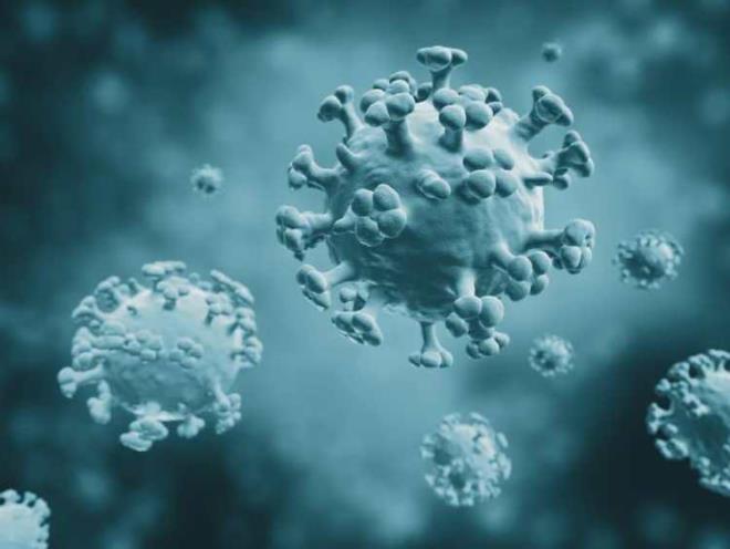 Dnya Salk rgt (DS) verilerine gre her yl dnya genelinde 1 milyar insan grip oluyor, bunlarn 3 ila 5 milyonu ar hastalk tablosuna dnyor ve yaklak 290 bin-650 bin kii hayatn kaybediyor.