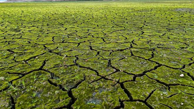 SK yetkilileri, su tasarrufu konusunda vatandalara uyarlarda bulunurken, nmzdeki aylarda yalarn yetersiz kalmas durumunda ek nlemlerin gndeme gelebileceini belirtti.