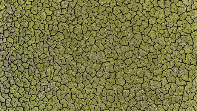 <p>stanbul'da kurak geen yaz aylarnn ardndan barajlarn doluluk oranlarndaki d devam ediyor.</p><p>&nbsp;</p><p>Eyll ve ekim aylarnda yzde 28,82'den yzde 22,96'lara den doluluk oran, kasm ay itibariyle yzde 21,41 olarak lld.</p><p>&nbsp;</p>