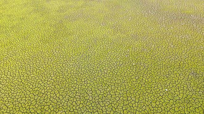 <p>stanbul'un su ihtiyacn karlayan nemli kaynaklardan biri olan merli Baraj'nda da sular yer yer tamamen ekilirken, baraj kuraklk tehlikesiyle kar karya kald.</p><p>&nbsp;</p><p>merli Baraj'ndaki su seviyesinin d ve kurakln son hali, havadan grntlendi.</p>