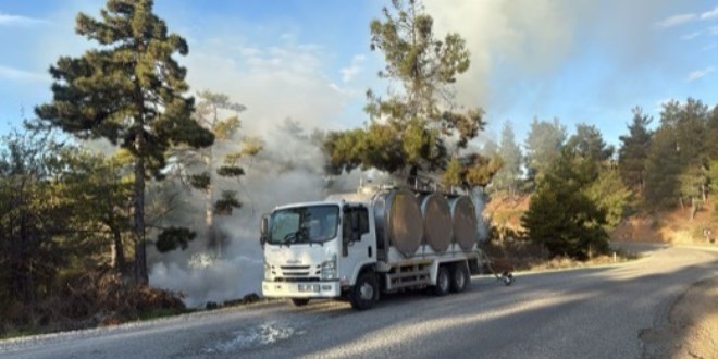 Orman Yangnna Stle Mdahale!