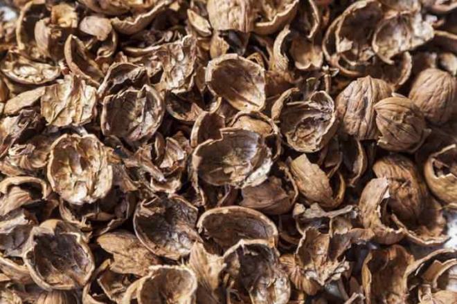 <p><span><strong>SA DERSN BESLYOR</strong></span></p>    <p>Ceviz kabuunun kaynatlmasyla elde edilen suyun, sa dklmesini azaltabilecei, sa derisini besleyip kepek oluumunu nleyebilecei belirtiliyor.&nbsp;</p>