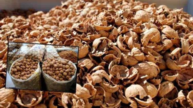 <span><em><strong>ou kii cevizleri krdktan sonra kabuklarn pe atyor ancak bu byk bir hata! Istmadan su artmaya, bitki bakmndan ahap parlatmaya kadar birok alanda kullanlan ceviz kabuu, sala olan faydalaryla da dikkat ekiyor. te detaylar...</strong></em></span>