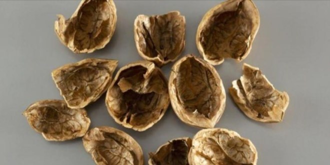 Ceviz kabuklarn sakn pe atmayn!