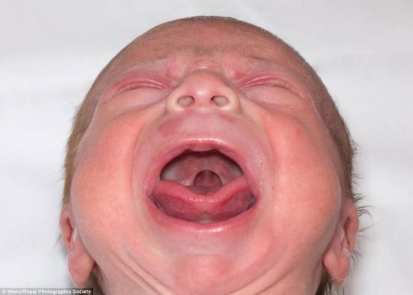 Bilim Fuar'nn ilk fotoraf ok anlamlyd Alayan Bebek