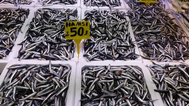 <span class="group/language-learning cursor-pointer"><span class="group-hover/language-learning:border-foreground border-subtle cursor-pointer hyphens-auto break-words border-b-2 border-dotted outline-none transition-colors duration-200 ease-out font-sans text-base font-medium text-foreground selection:bg-super/50 selection:text-foreground dark:selection:bg-super/10 dark:selection:text-super"><span style="visibility: visible;">Vatanda tuzlamalk hamsiye yneldi</span></span>&#65279;<span class="ml-1 inline-block -translate-y-px"></span></span><br>  Hamsi bolluuyla birlikte birok kii klk hazrlk yapyor. Balklar, vatandan hamsiye doyduunu, tuzlayarak dolaplarna koyduunu belirtiyor.