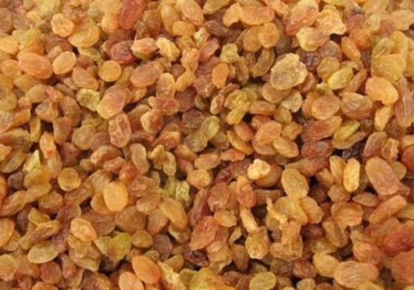 Bir bardak taze ampanyann iine bir kuru zm atarsanz zm asansr gibi bardan altndan stne stnden altna srekli dolar.