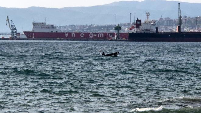 <strong>Balklar Limana Dnd</strong><br>  Sabah saatlerinde denize alan balk tekneleri, artan rzgr ve dalgalar nedeniyle limana geri dnmek zorunda kald.