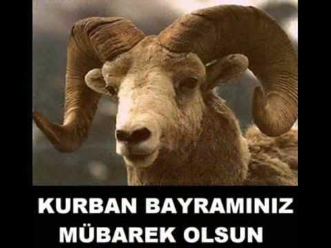 Bayramlar o kadar byldr ki, gelii btn bir yl beklenir ve gidiindeki keder de ancak byle bir ikinci geli midiyle hafifler. Kurban Bayramnzn da byle bir neeyle gelmesi ve tm ailenizi sevince boup evinize bereket getirmesi dileimizle. yi bayramlar!