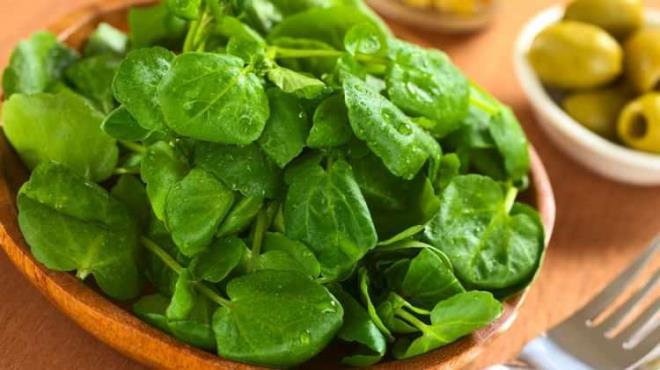 <p><span style="color:#FF0000"><strong>"BROK KRONK HASTALIKLARIN RSKN AZALTABLR"</strong></span></p>    <p><strong>Dikkat eken sonularn yer ald almay deerlendiren Do. Dr. Jennifer Di Noia, yle konutu:</strong></p>    <p><strong>"Bu gl meyve ve sebzeler, kalp-damar hastalklar, nrodejeneratif hastalklar ve baz kanserler dahil olmak zere birok kronik hastalk riskini azaltma potansiyeline sahip. Bu sralamalar tketicilere daha besleyici seenekleri belirlemede yol gsterebilir."</strong></p>