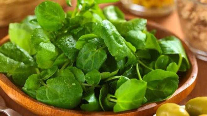 <strong>"Mkemmel" sebze olarak adlandrlan su teresi, lahana, brokoli ve Brksel lahanas gibi yeleri bulunan Brassicaceae familyasna ait olan bir sebze. K vitamini ieriiyle n plana kan bu sebzenin ok sayda faydas bulunuyor.</strong>