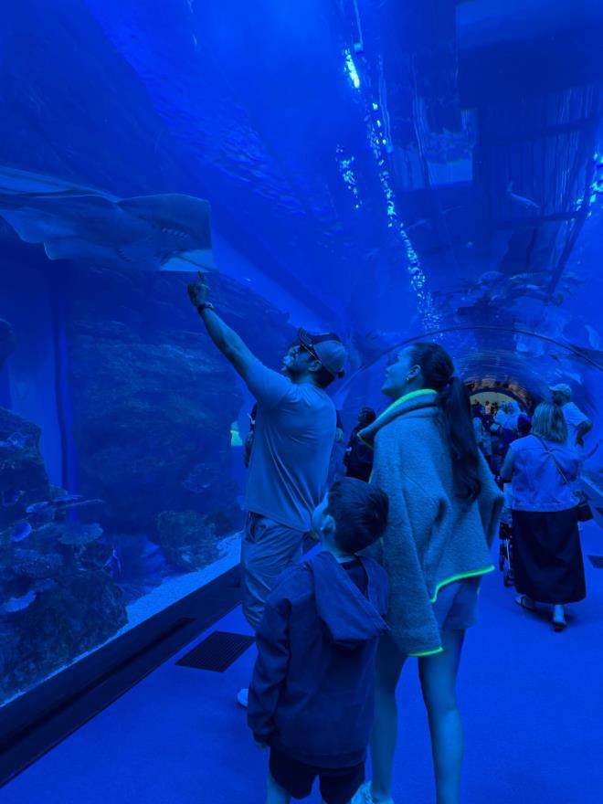 <strong>Su Alt Deneyimi</strong><br>  Aile, Dubai akvaryumunda deniz canllarn yakndan incelerken, elenceli ve keif dolu bir gn geiriyor.