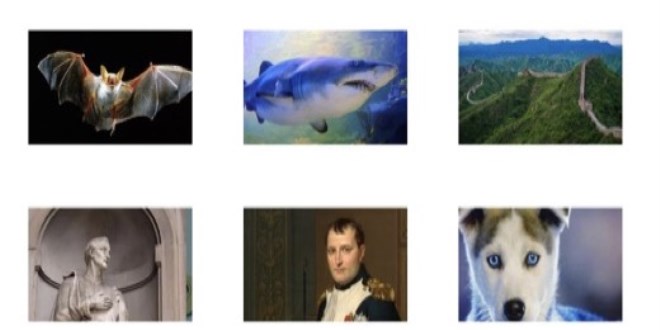 Doru bilinen yanllar