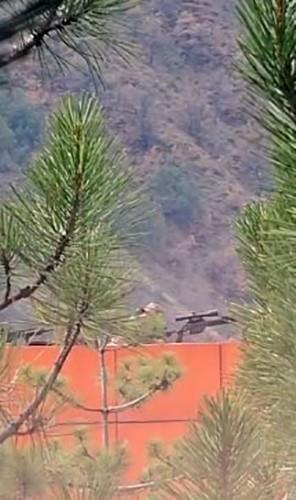 <strong>Uzman avu Gemii Olan Personel</strong><br>  Rehin alan H.T.'nin daha nce uzman avu olarak grev yapt, ancak olayn nedeni henz belirlenemedii renildi.