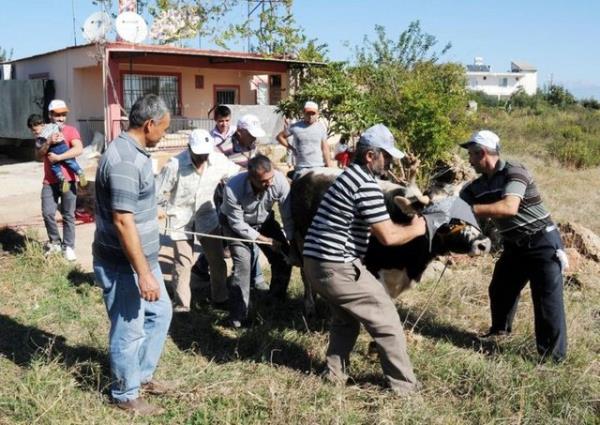 Uyarlara ramen her ey ocuklarn gz nnde...