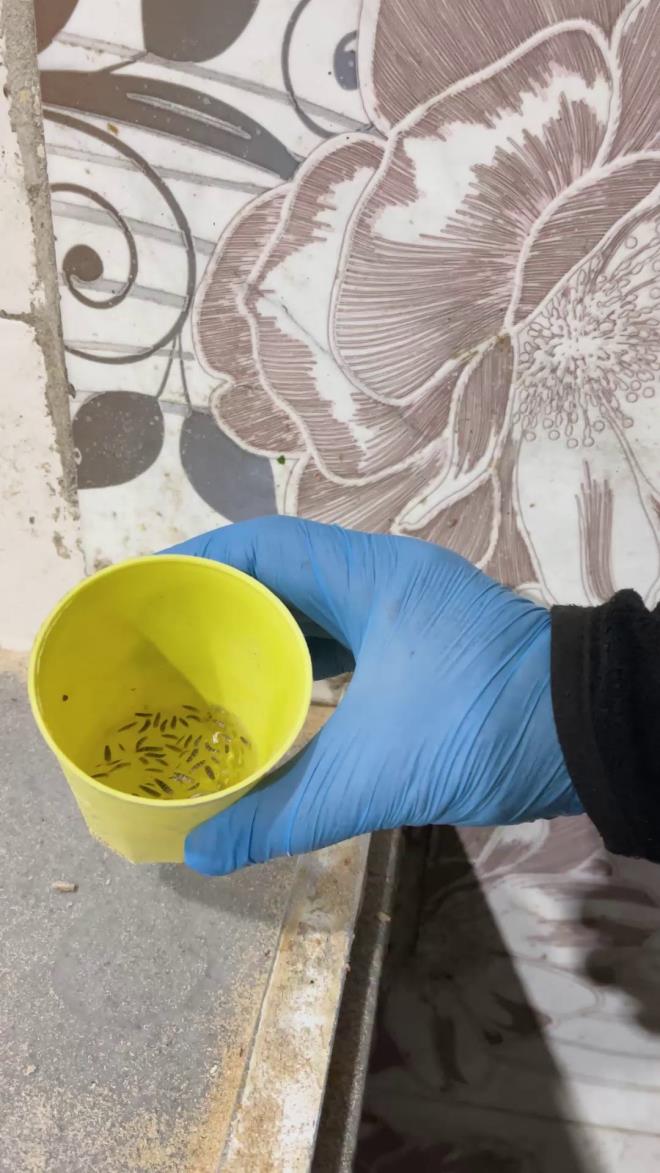 <strong>Gece Operasyonunda Frnlar Denetlendi</strong><br>  Krkhan Belediyesi zabta ekipleri, halk saln tehdit eden iletmelere ynelik almalarn aralksz srdryor. Ekipler gece 04.00 sralarnda kent merkezindeki frnlara ani operasyon dzenledi.