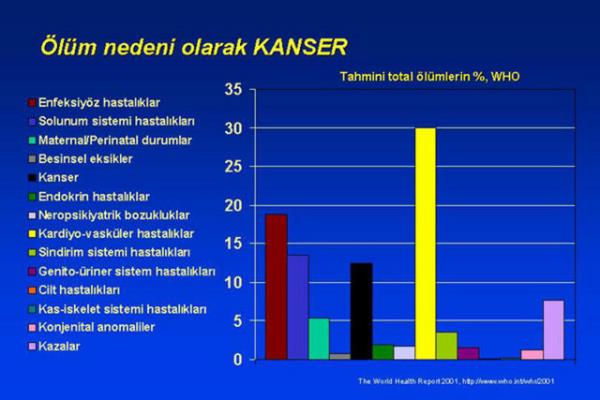 Kanser aramalarnda alt blgelerde ise stanbul, Aydn, Ankara, Eskiehir ve izmir ilk bete yer alyor.