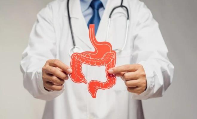 <p><span style="color:#B22222"><strong>BAIRSAK SALIINI DA ETKLED GZLEMLEND</strong></span></p>    <p>Yaplan metabolit almalarnda; portakal suyunun enerji kullanm, hcreler aras iletiim ve iltihap yollarn etkiledii de bulundu.</p>