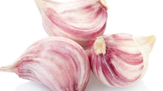 Aratrmaclar, sarmsan yzyllardr bilinen tbbi zellikleri ve antimikrobiyal etkinliini gz nne alarak bir alma yapt.