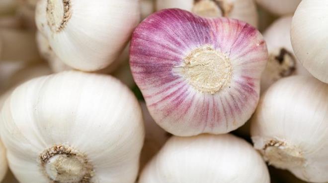 Kimyasaln ar kullanmnn antimikrobiyal direnci artrabileceini ve kullanclarn azlarn bakteri, virs, mantar ve parazitlere kar savunmasz hale getirebilir; bunlarn hepsi kt nefes kokusuna ve i enfeksiyonlara yol aabilir.