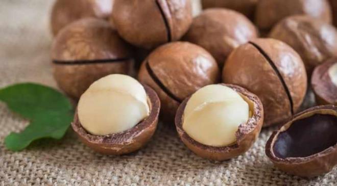 <p><span style="color:#FF0000"><strong>MACADAMA FISTII</strong></span></p>    <p><strong>Kuruyemi ailesinde en yal lezzetlerden biri olsa da faydalar saymakla bitmeyen Macadamia Fst, ierdii salkl yalar sayesinde beyin zar saln korumaya yardmc olur. Ayrca sinir hcrelerinin korunmasna ve enerji retimine de destek verir.&nbsp;</strong></p>