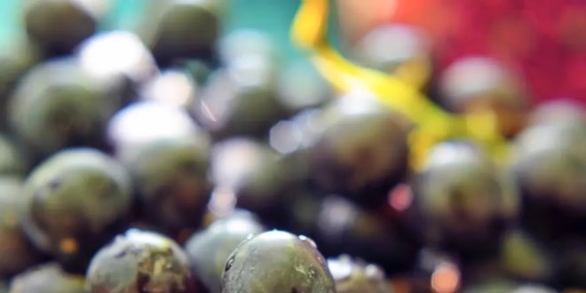 ''Sultanlara layk'' meyvenin kilosu 40 liraya satlyor