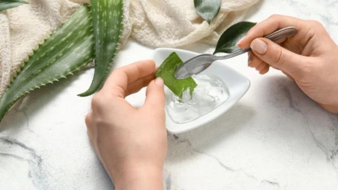 Aloe vera jeli: Aloe vera, ierdii yattrc bileenler sayesinde dudaklardaki gerilme ve kuruluk hissini ksa srede azaltr. Dudak yzeyine ince bir tabaka halinde srldnde hzla emilir ve derinlemesine nem salar. Ayn zamanda hafif bir serinlik hissi oluturarak tahrii yattrr. atlak dudaklarn toparlanmasna yardmc olan doal bir bakm sunar. Hassas dudaklarda da gvenle kullanlabilen yumuak bir yntemdir.