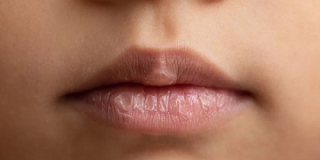 atlayan dudaklar k boyu korumann doal yolu