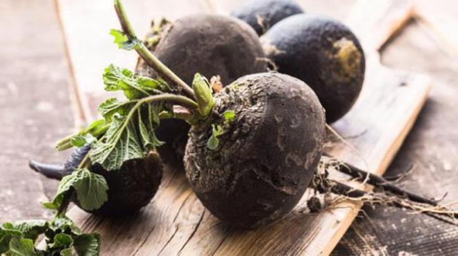 Siyah turp yaln�zca �ks�r�kle s�n�rl� kalmayan faydalar�yla da biliniyor. ��eri�inde bulunan do�al bile�enler sayesinde solunum yollar�n� destekledi�i ve bal ile birle�ti�inde etkisinin artt��� s�yleniyor. Bal�n antiseptik yap�s�, turpun keskin aromas�yla dengelenerek bo�azda koruyucu bir tabaka olu�turuyor.