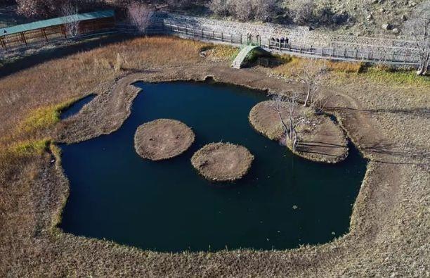 1-Bing�l:&nbsp;15.894 TL (%68,14)