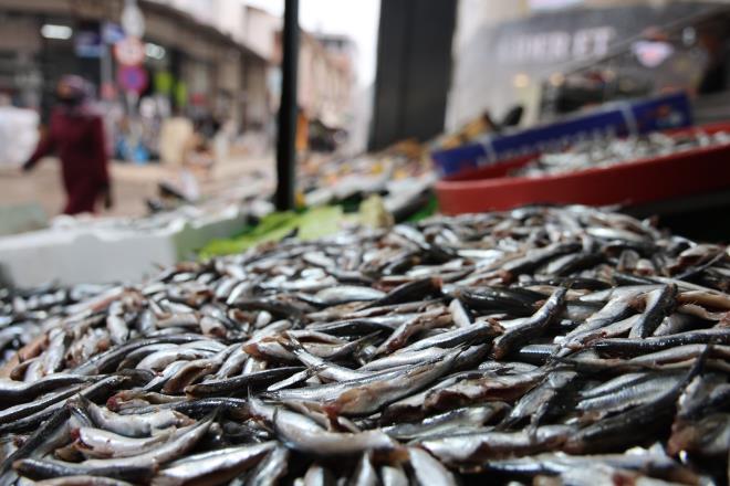 <strong>Hamsi, �stavrit, Alabal�k ve Somon Zirvede</strong><br>  Vatanda�lar bu y�l en �ok hamsi, istavrit, alabal�k ve somon al�yor. Tezgahlarda hamsi 180, istavrit 200, alabal�k 250 ve somon 280 liradan sat��a sunuluyor.